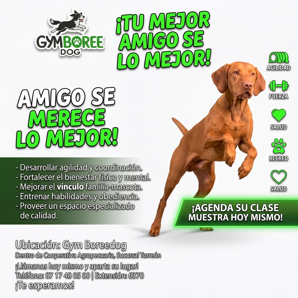 Presentación de Gymboree Dog: agilidad, fuerza y recreo para perros