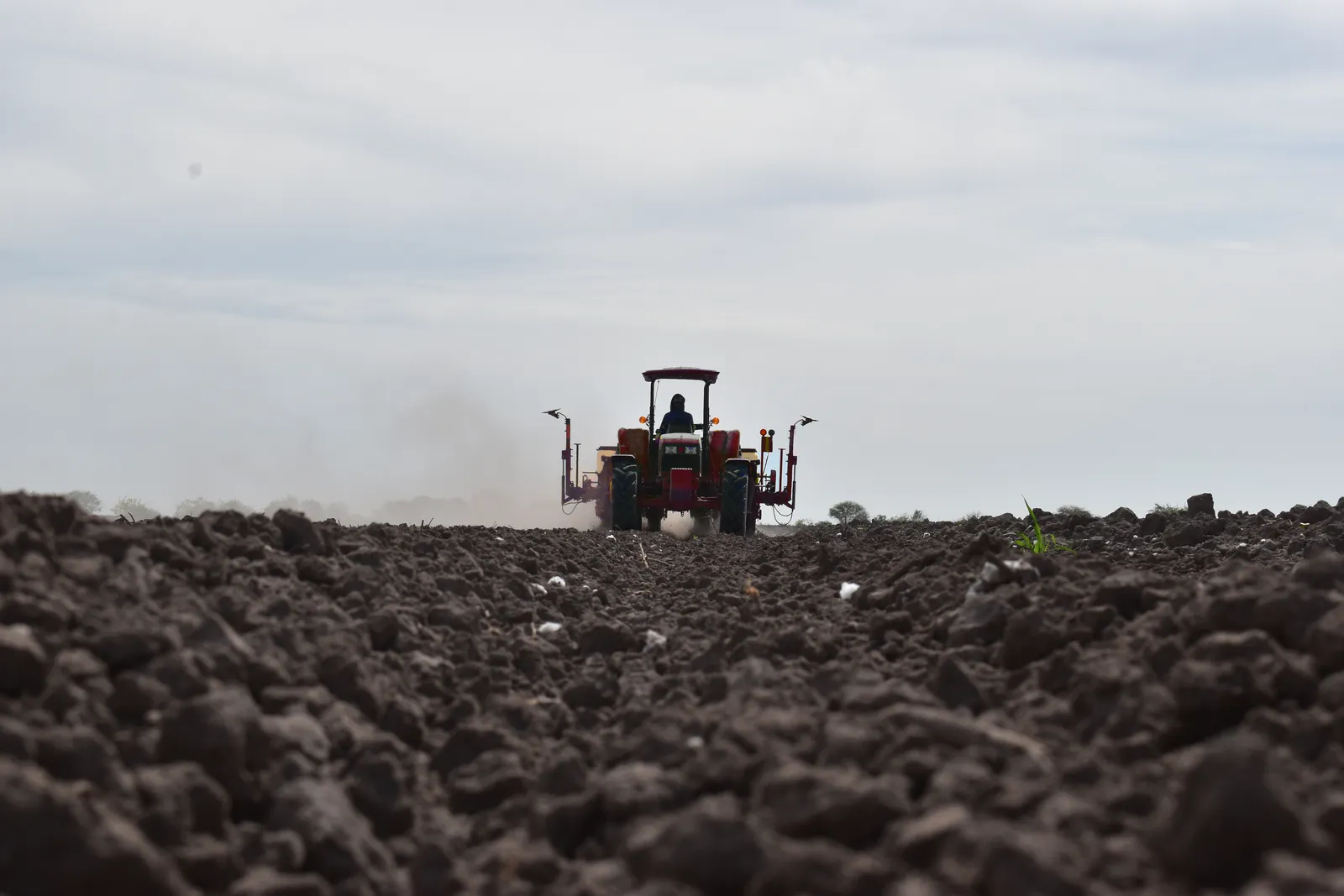 Cooperativa Agropecuaria: imagen 3