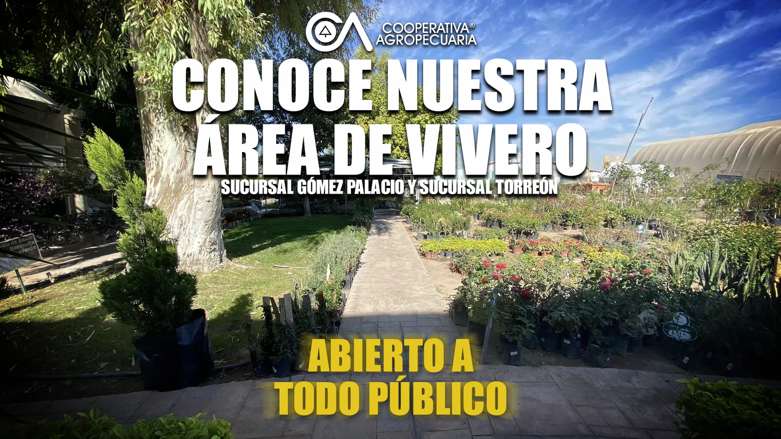 Departamento de vivero
