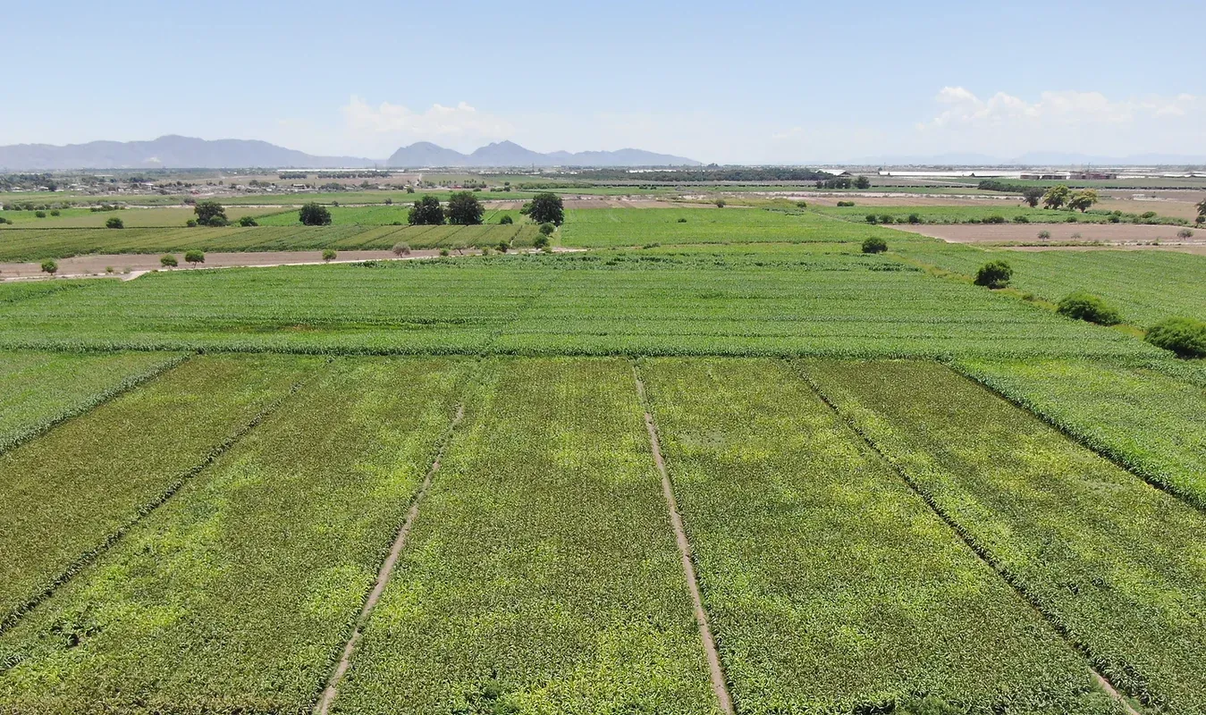 Cooperativa Agropecuaria: imagen 1