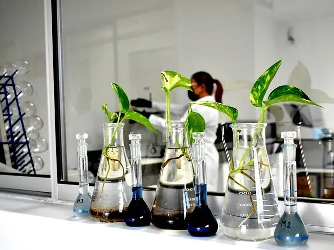 Laboratorio de análisis
