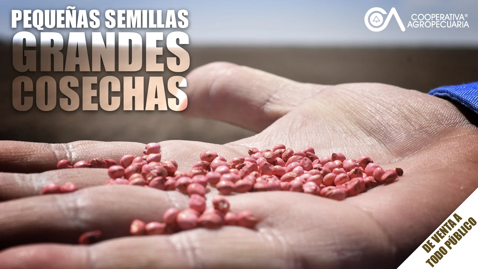Departamento de semillas